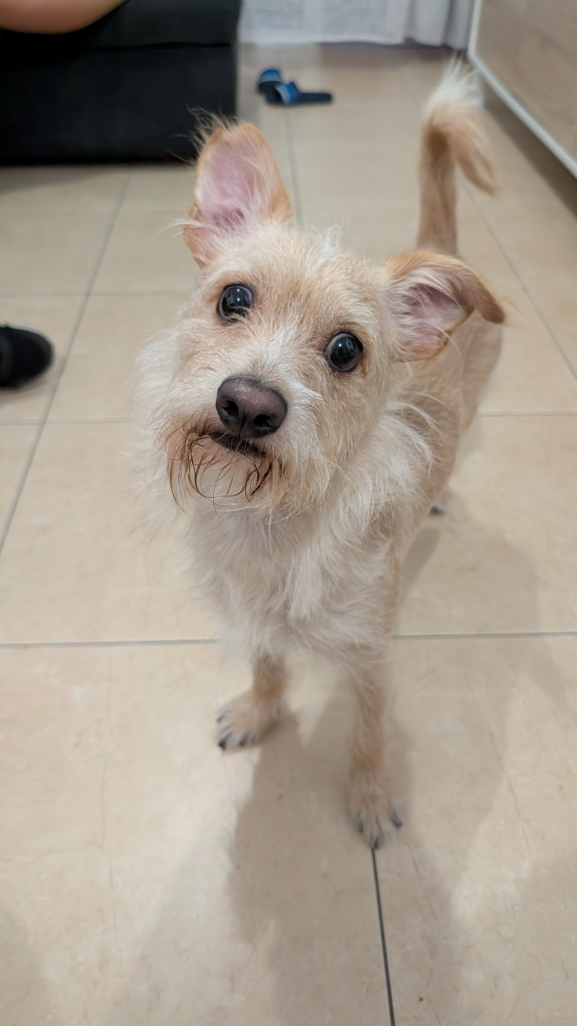 Max